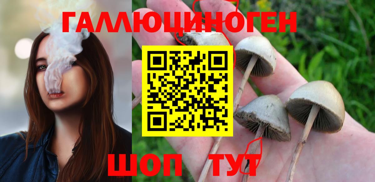 Изобильный  Галлюциногенные грибы Cubensis  Вход с VPN  Галлюциногенные грибы Psilocybe 